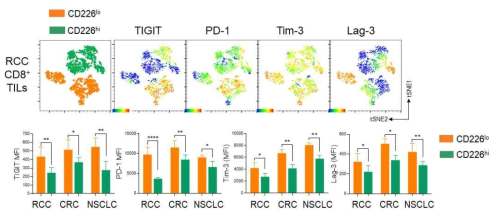 FACS를 이용한 암 침윤 CD8+ T 세포의 면역 표현형 분석. RCC: Renal cell carcinoma. CRC: Colorectal cancer. NSCLC: Non-small-cell lung carcinoma