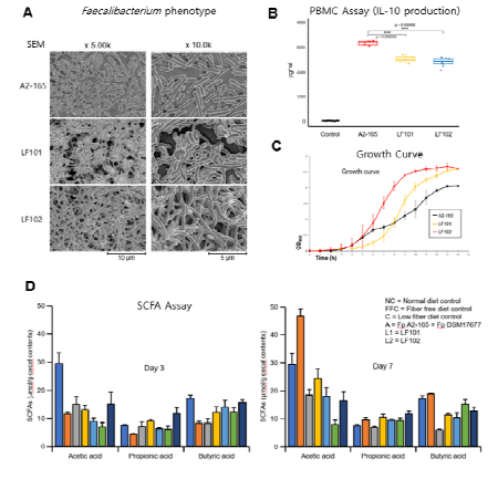 선별된 질환 관련 Faecalibacterium prausnitzii 스트레인의 기초 연구