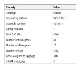 General features of Lentibacilus sp. CBA3610 genome