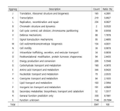 Genes associated with Eggnog functional categories