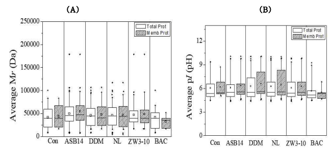 식별된 총 단백질 및 막 단백질의 평균 분자량(Mr) 및 등전점(pI) 분석 결과. (A) 특정 Detergent 처리에서 확인된 단백질의 평균 Mr (B) 특정 세제처리에서 확인된 단백질의 평균 pI