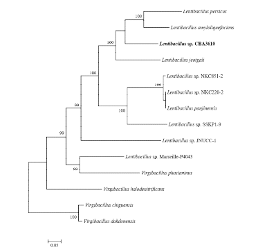 Genome sequnce를 바탕으로 Phylogenic tree