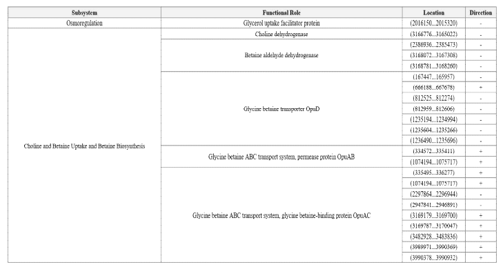 Summary of protein coding sequences - Stress Response; Osmoregulation, Choline and Betaine Uptake and Betaine Biosynthesis