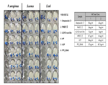 후보 단백질 6종의 MIC 실험 결과