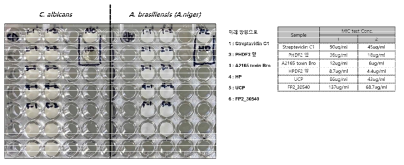후보 단백질 6종의 MIC 실험 결과