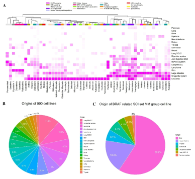 SCI set 과 세포주 기원들의 clustering analysis 결과 BRAF related gene pair detection