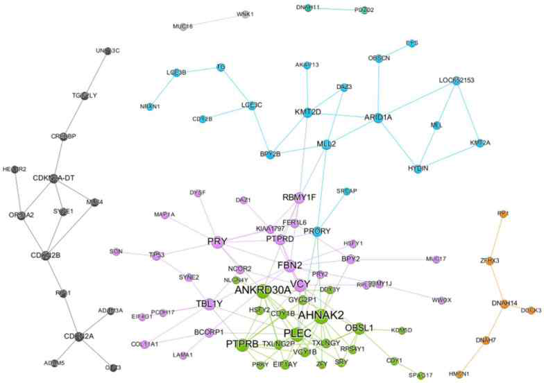 Paclitaxel을 중심으로 유의한 SCI pair 로 나타난 유전자들의 네트워크 분석