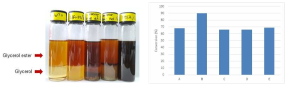 글리세롤의 글리세롤 에스테르 전환율