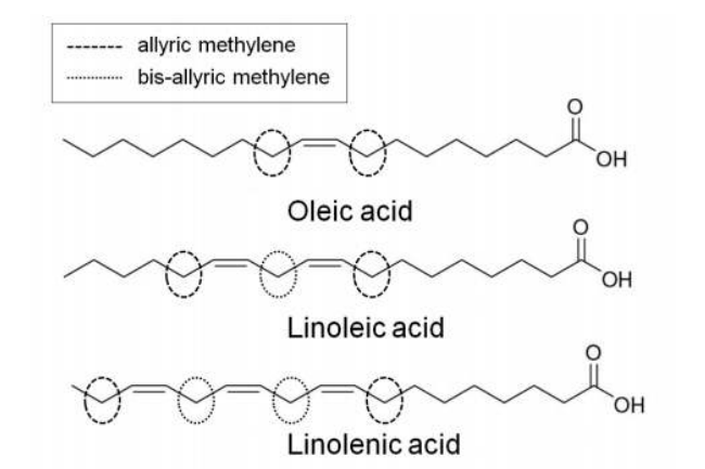 Oleic acid, Linoleic acid, Linolenic acid 메틸에스테르의 구조