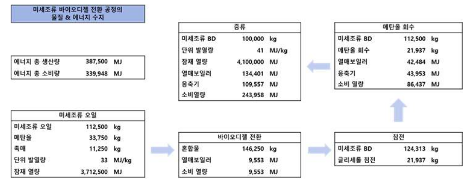 바이오디젤 전환 공정의 물질 및 에너지 수지