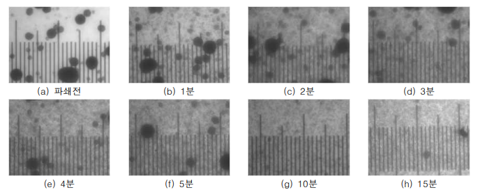 물 50kg, 미세조류 1kg 혼합물의 파쇄 시간별 현미경 측정 결과