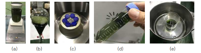미세조류 파쇄후 오일 추출 절차