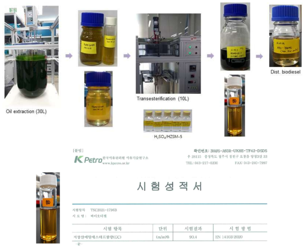 미세조류 바이오디젤 및 한국석유관리원의 FAME 함량 시험성적서