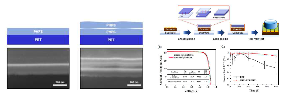 (좌) SEM 활용 봉지막 단면분석 예시, (우) 페로브스카이트 태양전지 봉지 공정, 봉지 적용 전후 소자 효율 변화, 및 수분 접촉(resorvoir) 안정성 테스트 결과