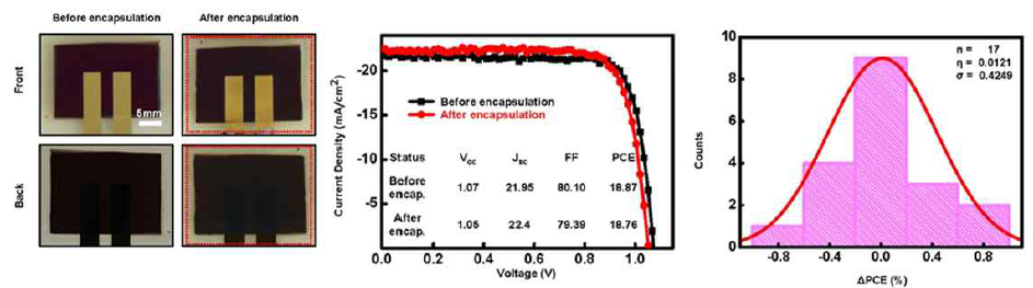 (좌) 봉지재 적용 전 후 광학이미지, (가운데) 봉지재 적용 전 후에 따른 페로브스카이트 태양전지 성능변화, (우) 각 태양전지의 효율 변화 분포도