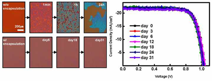 (좌) 물 안정성 실험 시 봉지재 유무에 따른 페로브스카이트 태양전지의 광학이미지 변화 확인, (우) 시간에 따른 물 안정성 실험 시 전압-전류 곡선을 통한 태양전지 성능 변화 확인