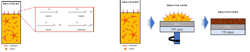 (좌) Surfactant에 따른 페로브스카이트 용액 내 콜로이드 변화 모식도. (우) Surfactant를 이용하여 페로브스카이트 태양전지 제작 모식도