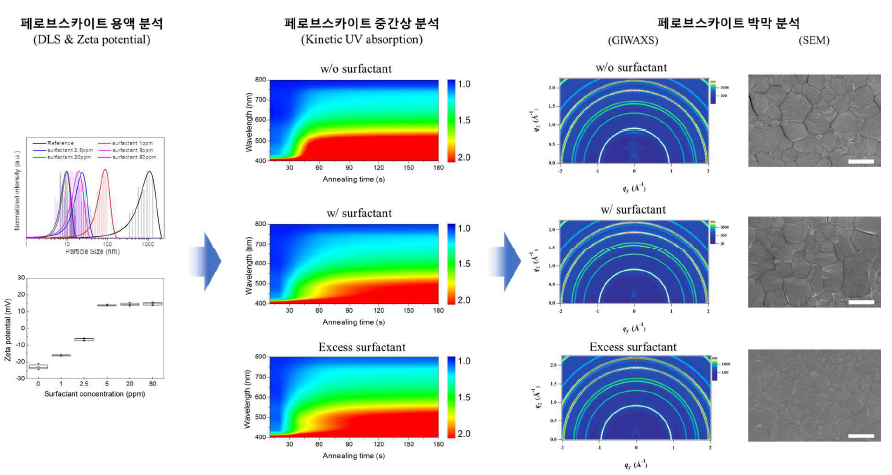 Surfactant에 의한 용액 상에서의 페로브스카이트 콜로이드 변화가 페로브스카이트 필름에 미치는 영향을 단계적으로 분석. (용액상 – 중간상 – 박막상)