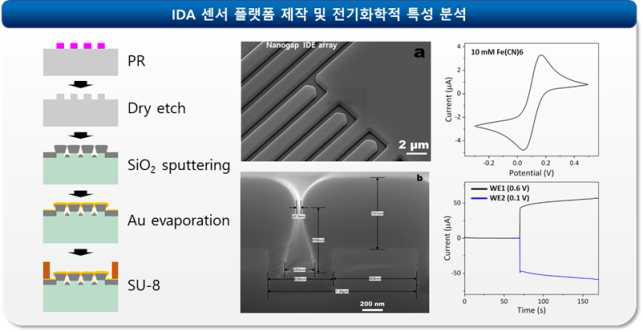 IDA 센서의 제작 공정 및 제작된 맞물림 전극 이미지, 이를 이용한 전기화학적 측정 결과