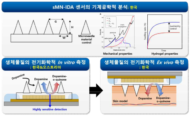 sMN-IDA 센서 제작을 위한 2차년도 연구계획