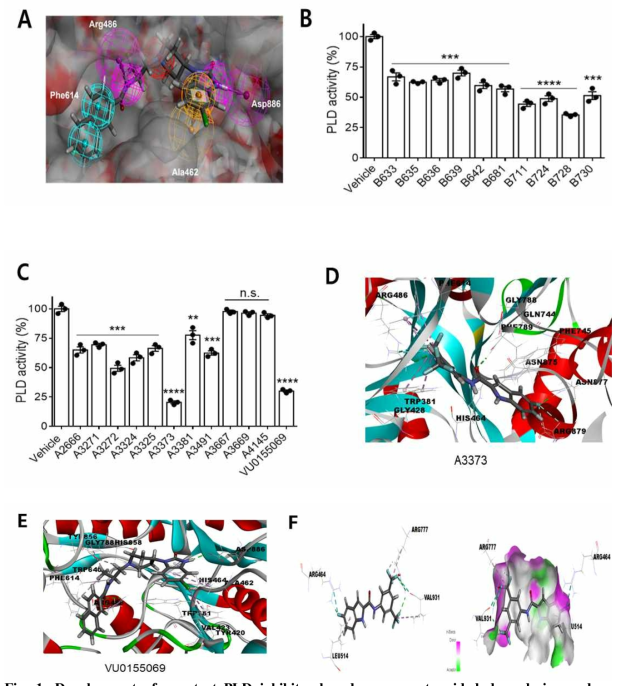 Development of a potent PLD inhibitor based on computer-aided drug design and pharmacophore studies