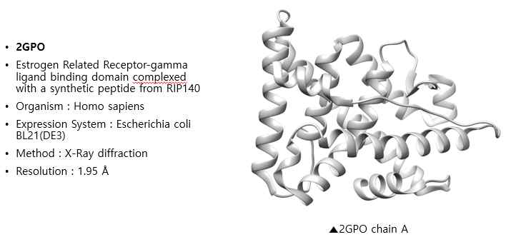 구조 기반 Errγ 타깃 작용 화합물 도출을 위한 단백질
