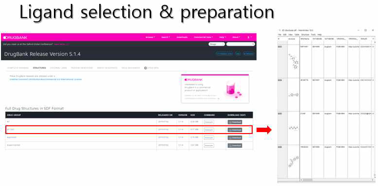 구조 기반 Errγ 타깃 작용 화합물 도출을 위한 Ligand selection & preparation