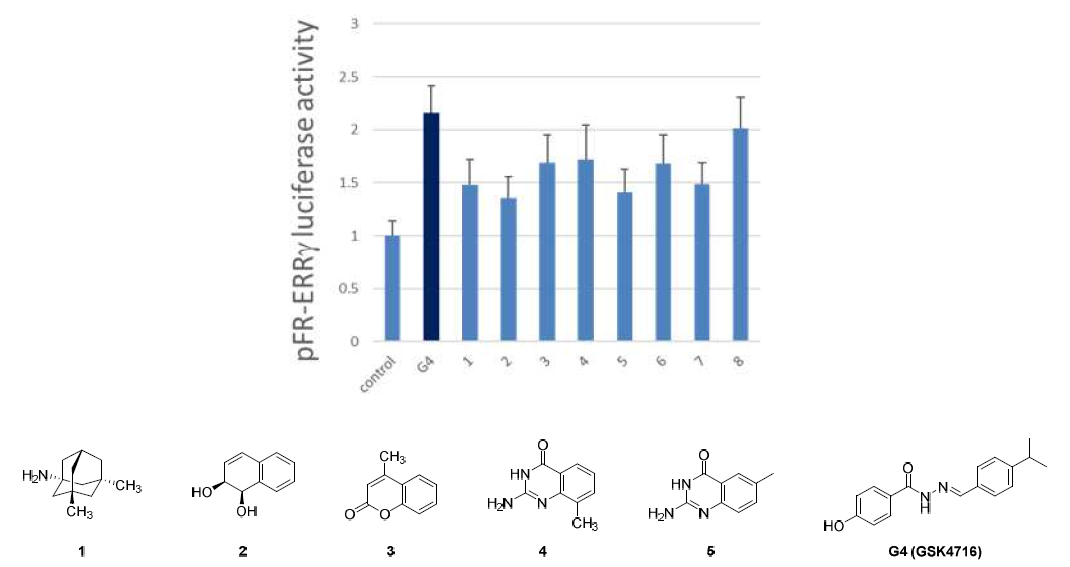 타깃 ERRγ 핵수용체에 대한 in vitro cell-based reporter-gene assay 결과 및 해당 화합물 구조