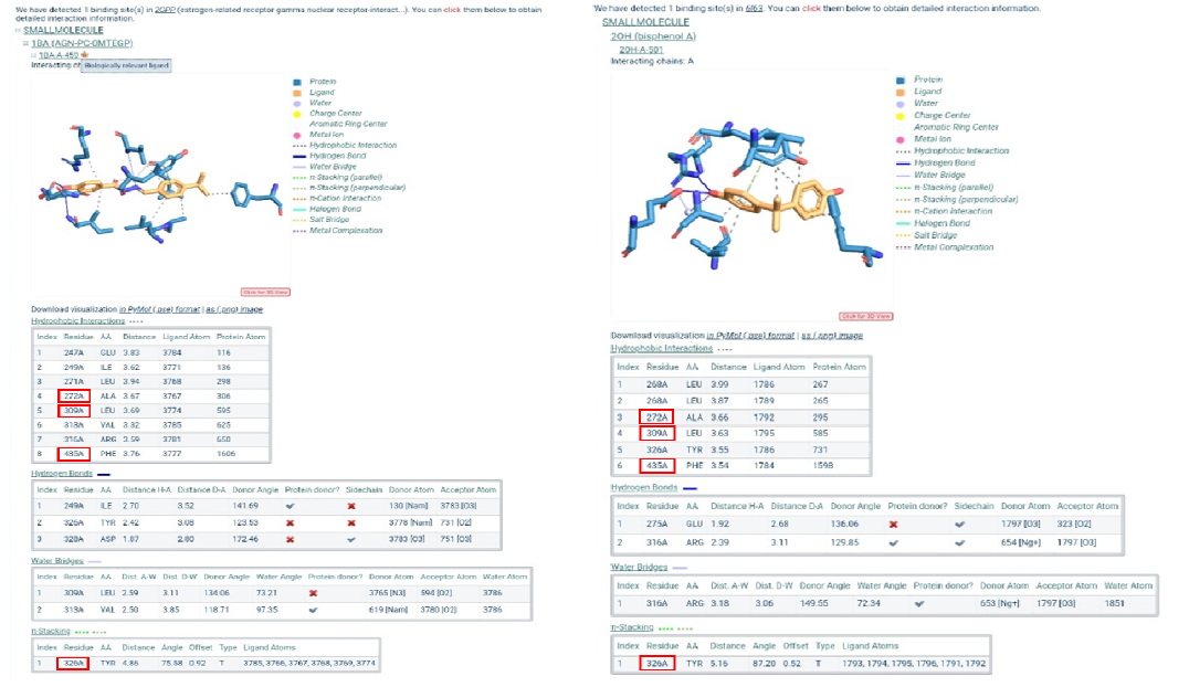 구조 기반 약물 재목적화를 binding site 상호 작용 분석