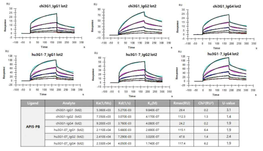3G1 항체의 subtypedp 따른 항원 결합력 분석