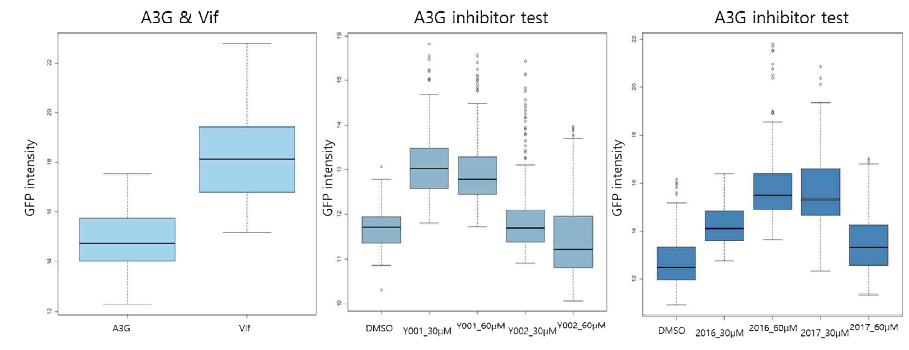 A3G inhibitor(Y001, Y002, 2016, 2017)에 의한 RRV 감염능 정량화