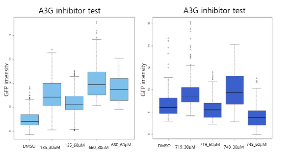 A3G inhibitor(135, 660, 719, 749)에 의한 RRV 감염능 정량화