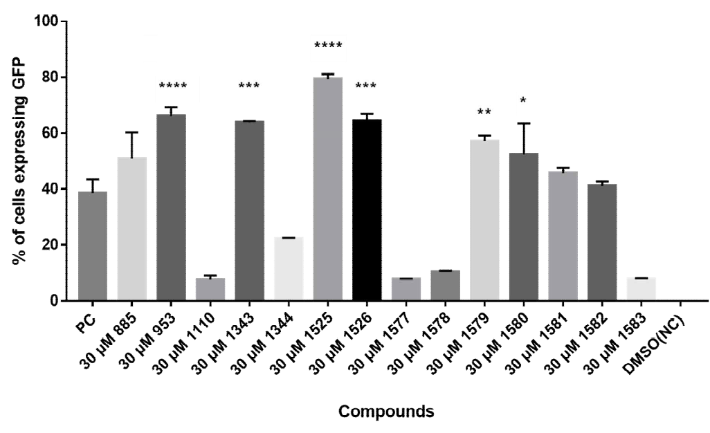 U-87 MG, U-87 MG-A3G에 0.2 MOI의 sRRVgpDsRed/spRRVeGFP와 30 μM A3G inhibitor 처리 후 GFP 발현량 비교