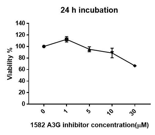 U-87 MG-A3G에서 1582 A3G inhibitor 처리 24시간 후 WST-1 assay를 통한 cell viabiliy 측정