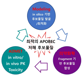 APOBEC3G 저해 저분자 선도물질 개발 개념도