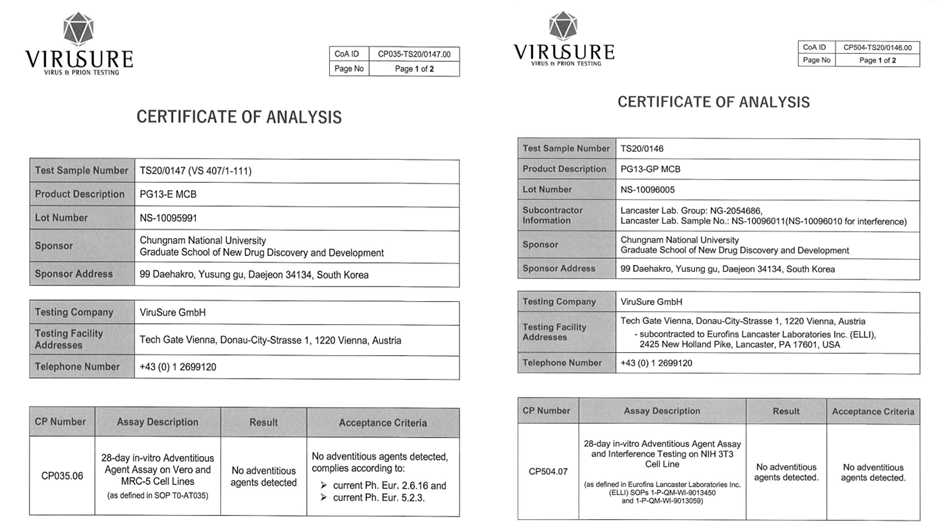 PG13-gpCD / PG13-eTK MCB 외래성바이러스부정시험 in vitro Vero and MRC-5 cell line 결과