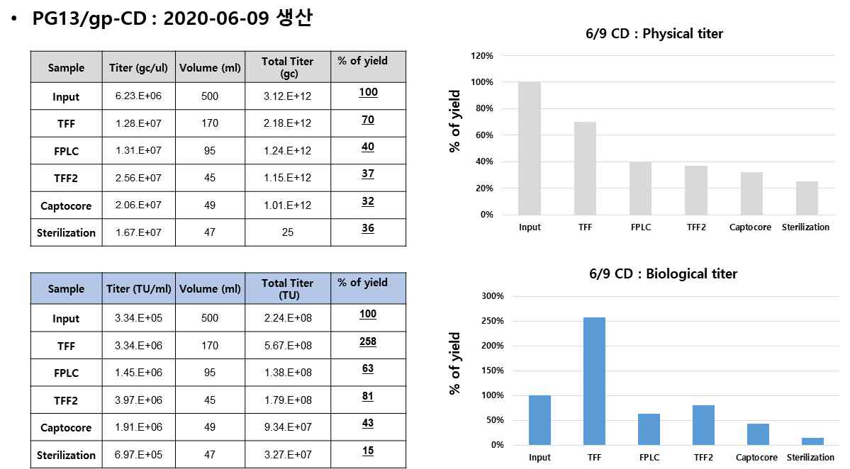 sRRVgp-CD 벡터의 정제 수율 검증