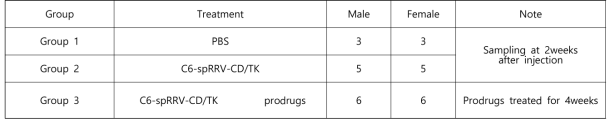 The composition of groups for the biodistribution test