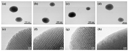 MSNs (a and e), aminated-MSNs (b and f), KGN (50 uM)/MSNs (c and g) and KGN (100 uM)/MSNs (d and h) 투과전자현미경 (TEM) 이미지