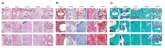 쥐 IVD에 실험군 주입 후 조직학적 이미지. a) H&E 염색, b) Masson’s trichrome 염색, c) Safranin-O 염색