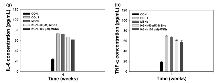 실험군 주입 4주 후 혈청을 이용하여 염증 사이토카인 수치: (a) IL-6 및 (b) TNF-α