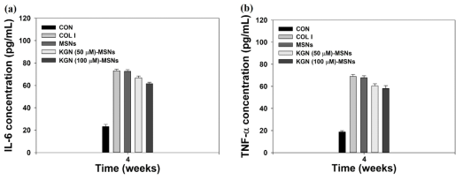 실험군 주입 4주 후 혈청을 이용하여 염증 사이토카인 수치: (a) IL-6 및 (b) TNF-α