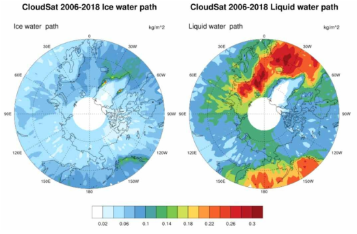 빙정수경로(Total ice water path, IWP)과 액체수경로(Total liquid water path, LWP)의 Cloudsat 위성 관측 자료로 2006년 6월 –2018년12월 평균 분포(unit :kg/㎡ )