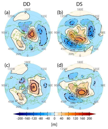 NCEP-NCAR geopotential height anomalies (GPH) at 500 hPa averaged over days −49 to −21 for (a) DD and (b) DS types. (c) and (d) As in (a) and (b), but for NCEP-NCAR GPH anomalies at 1,000 hPa. The contour interval is 20 m. Bold contours and pink dots indicate statistically significant regions at 95% confidence level