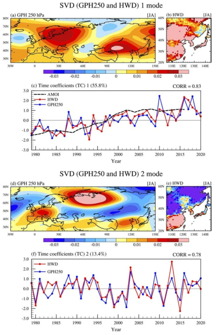 SVD mode 1 and mode 2 of geopotential height at 250 hPa (GPH250) and heatwave days (HWD). (a-c) First and (d-f) second coupled modes of SVD. From July to August, the coupled patterns of (a and d) GPH250 and (b and e) HWD in East Asia. (c and f) The standardized time series of the SVD time coefficients (TC) for GPH250 (blue line) and HWD (red line). The black dashed line in (c) indicates the AMO index