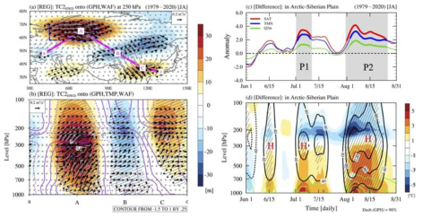 Regression and composite pattern associated with the Arctic-Siberian Plain (ASP). (a and b) Horizontal and vertical regression patterns between the 2nd SVD mode time coefficients (TC2) for heatwave days (HWD) (TC2-HWD) and geopotential height (GPH; shading; units: m), wave activity flux (WAF; vector; unit: m2/s2), and air temperature (TMP; purple line; unit: °C). The blue rectangle in (a) indicates the ASP region (58 °N–70 °N, 45 °E–80 °E). The solid green line indicates a Rossby wave pathway. (c and d) Composite difference between heatwaves associated with ASP (HW-ASP) and non-heatwaves associated with ASP (NHW-ASP) for (c) 7-day running mean surface air temperature (SAT; red line; unit: °C), minimum temperature (TMN; blue line; unit: °C), and 2 m specific humidity (Q2m; green line; unit: g/kg) and (d) TMP (shading; unit: °C), GPH (black contour; units: m), and specific humidity (green contour; unit: g/kg). The thick solid line in (c) and the hatched patterns in (d) indicate the values statistically significant at a 90% confidence level. Gray shading indicates period 1 (P1; Jul. 02–Jul. 10) and period 2 (P2; Aug. 01–Aug. 25)