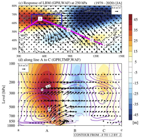 Response of linear baroclinic model experiments. (c and d) Same as in Fig. 3 (a) and (b) but for the atmospheric responses to the vorticity tendency and diabatic heating (Q1) forcings in the linear baroclinic model (LBM) experiment. These steady forcings in the LBM are derived from the daily relative vorticity tendency and Q1 over the Arctic-Siberian Plain (ASP) region from the surface level to 10 hPa with a temporal average from days −3 to 0 (onset) during the P1 and P2 periods in 4(a) and 4(b)