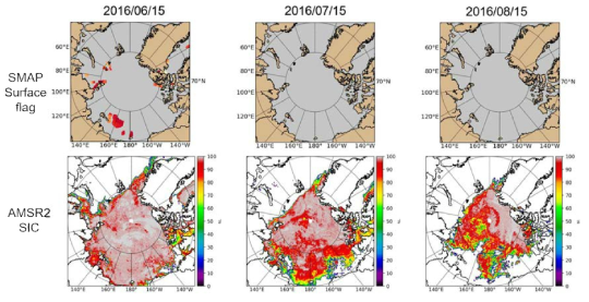 개선 전후 해빙 거칠기 알고리즘에 적용된 여름철 해빙 영역 판단 일자료 (위) SMAP surface flag (아래) AMSR2 해빙 농도