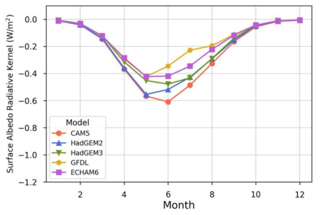 GCM에 따른 surface albedo 복사 커널들의 월평균 시계열 분포