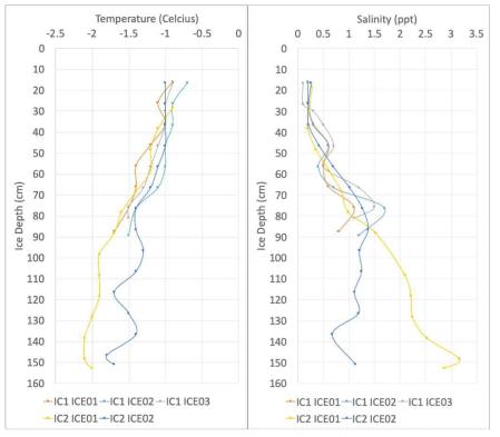 해빙 코어 깊이별 온도 및 염도 프로파일
